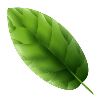 leaf-1